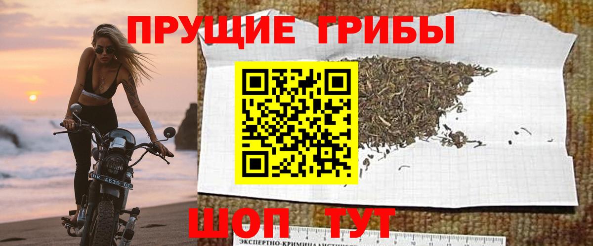 продажа наркотиков  Галлюциногенные грибы Magic Shrooms  Галлюциногенные грибы Cubensis  Вход с VPN  Калуга 